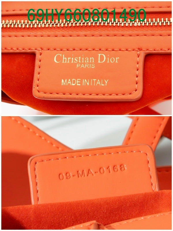 Christian Dior Luxury - The Tote   582