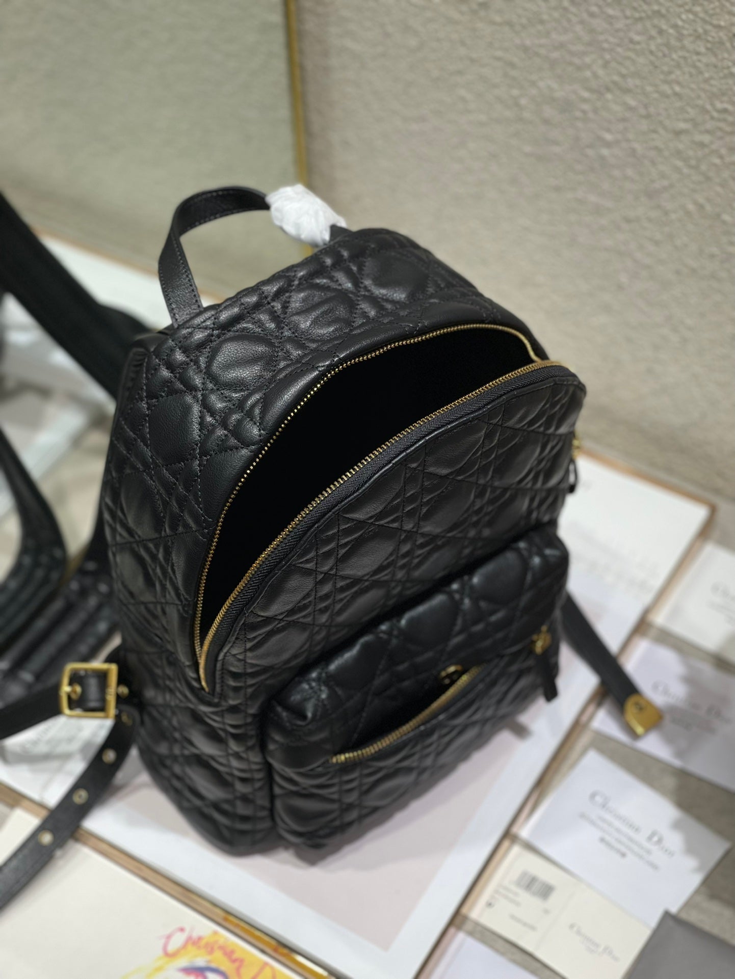 Christian Dior   Backpack