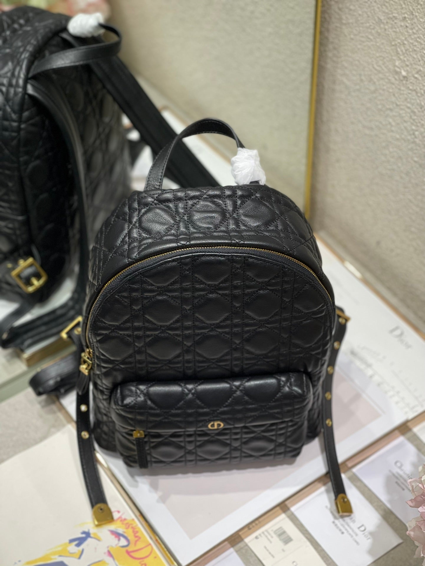 Christian Dior   Backpack