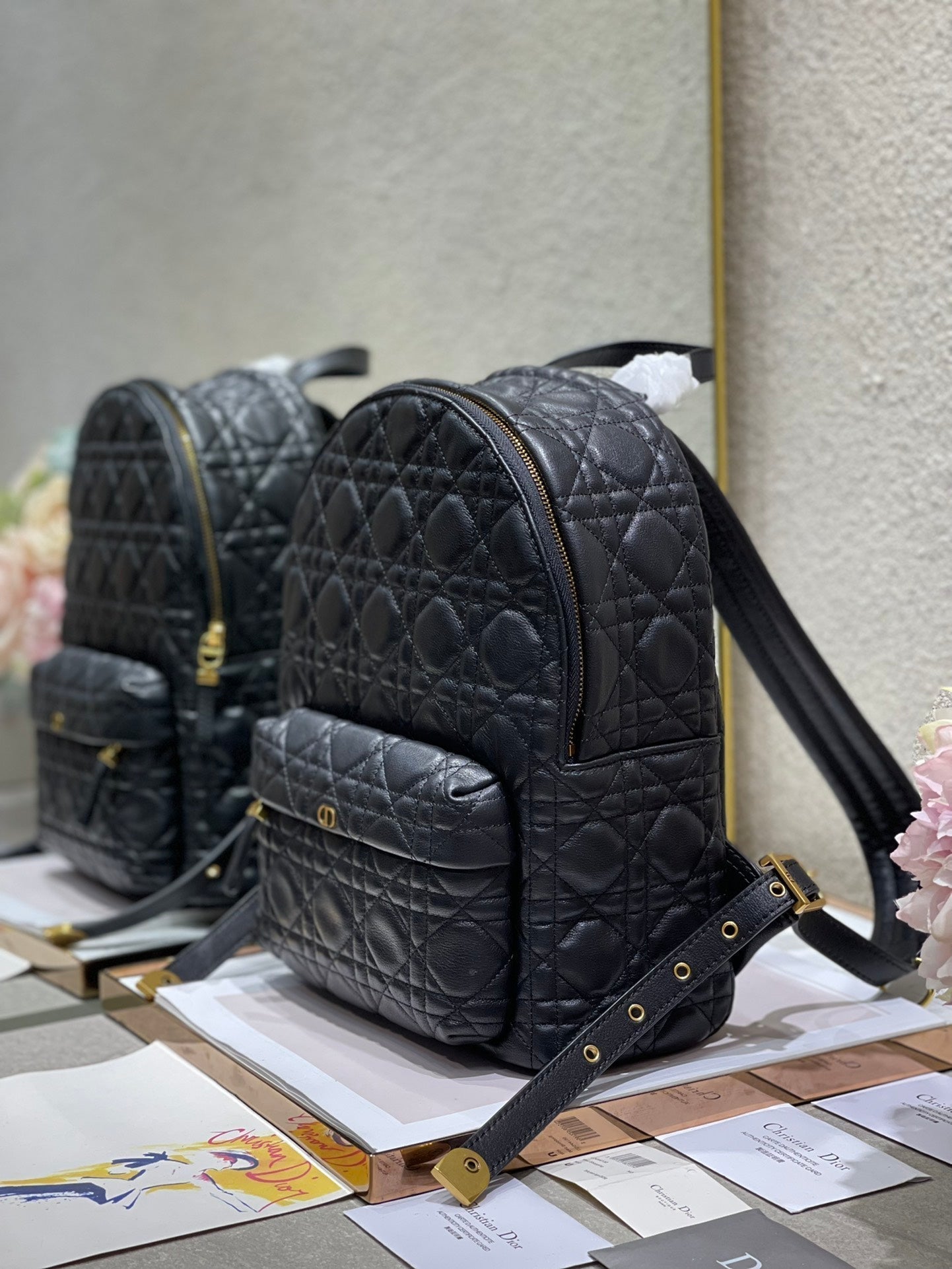 Christian Dior   Backpack