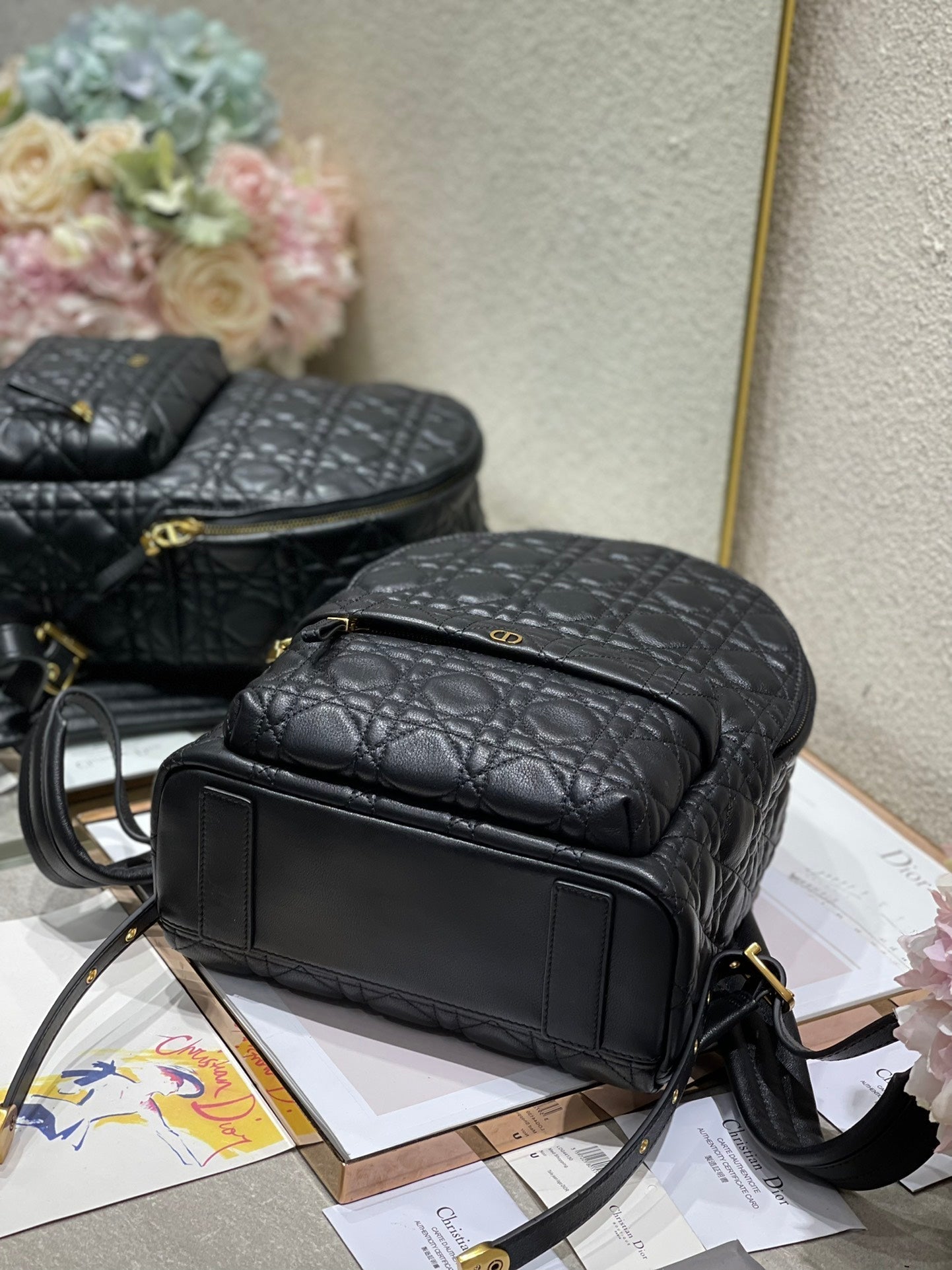 Christian Dior   Backpack